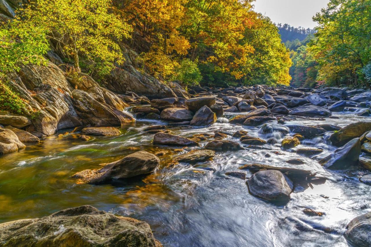 Downtown Delight, 2 Bedrooms, Pool, Hot Tub, Sleeps 6 Gatlinburg Buitenkant foto